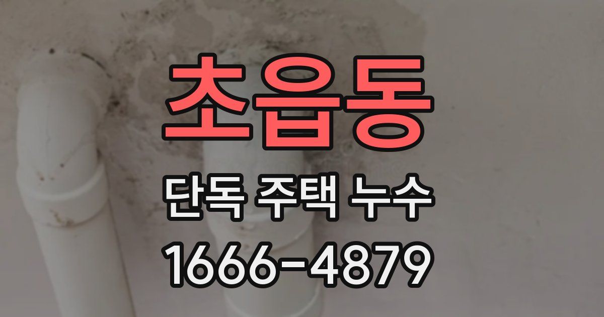초읍동 단독 주택 누수