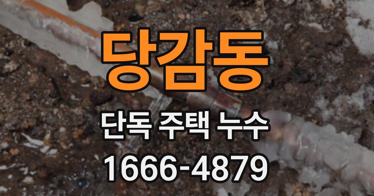 당감동 단독 주택 누수