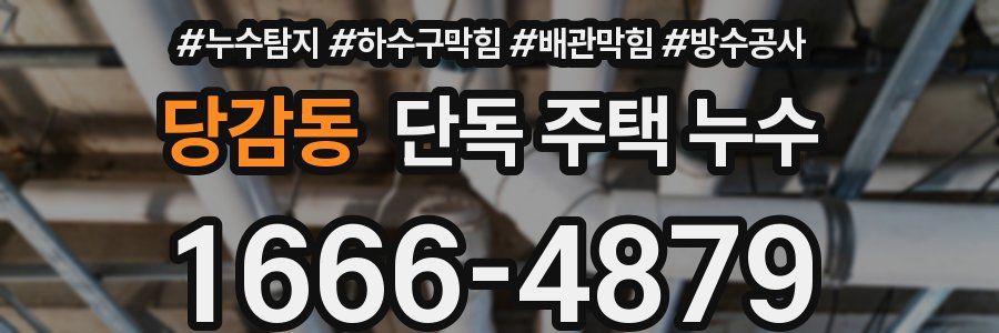 당감동 단독 주택 누수