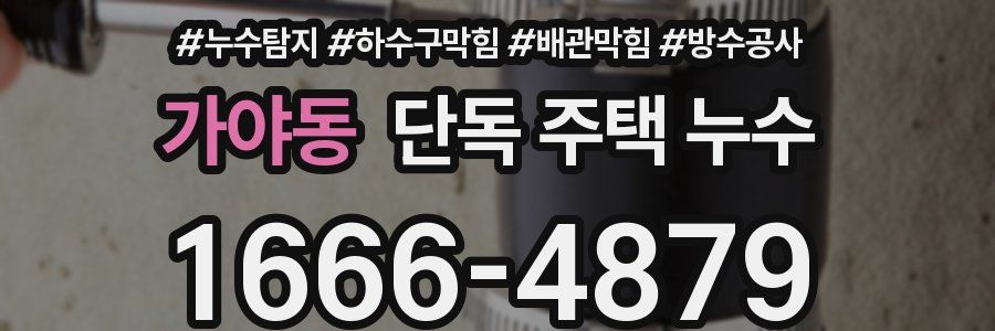 가야동 단독 주택 누수