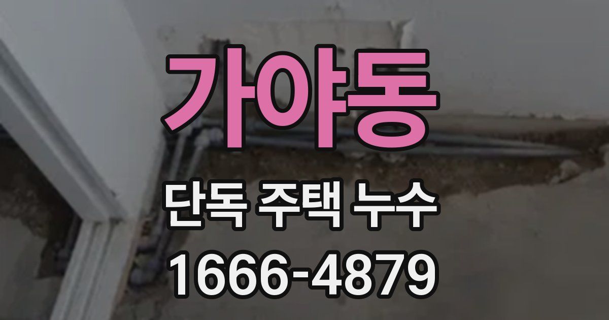 가야동 단독 주택 누수