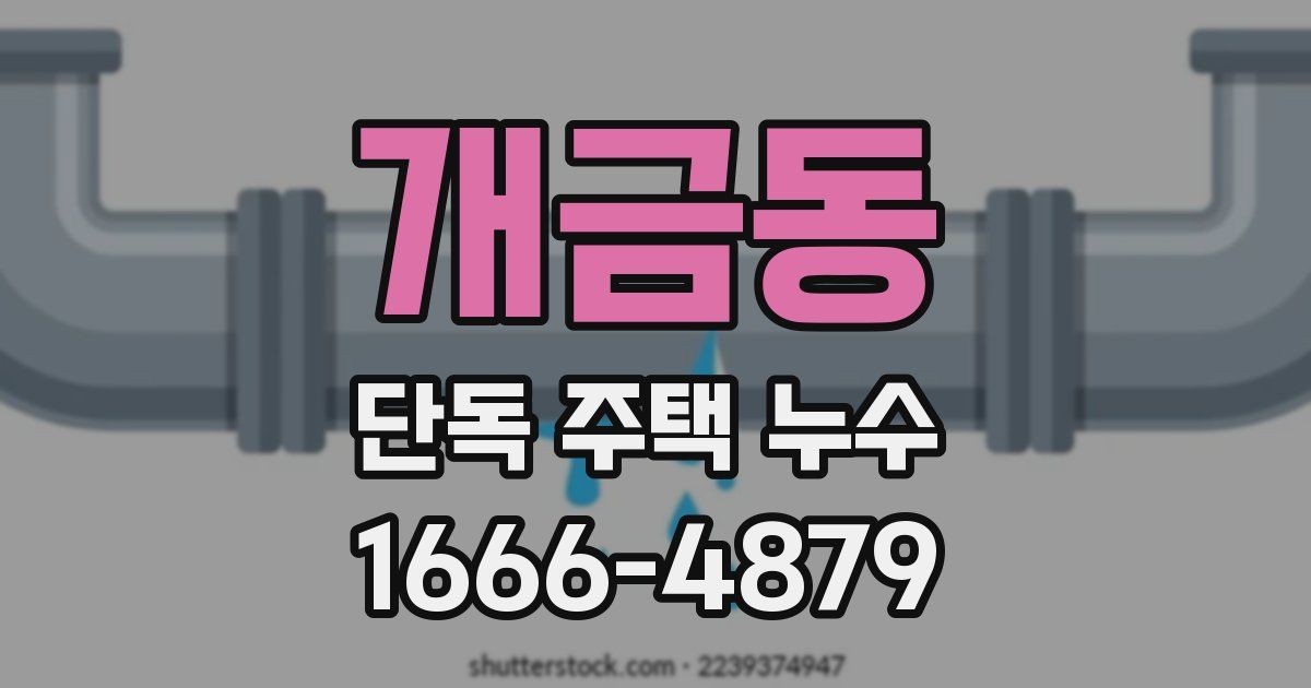 개금동 단독 주택 누수