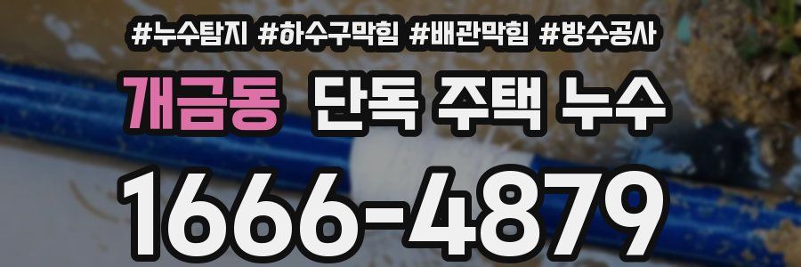 개금동 단독 주택 누수