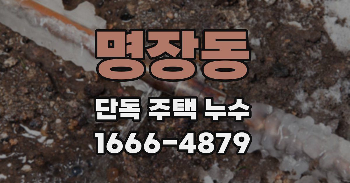 명장동 단독 주택 누수