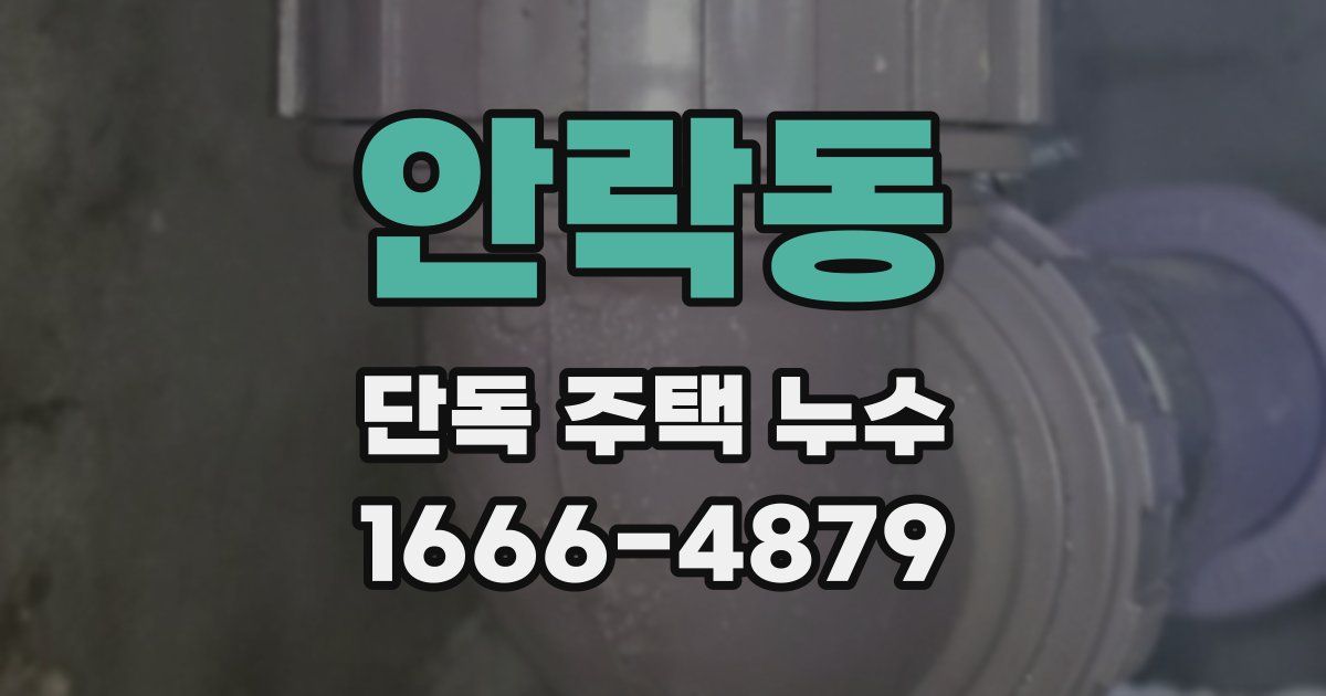 안락동 단독 주택 누수