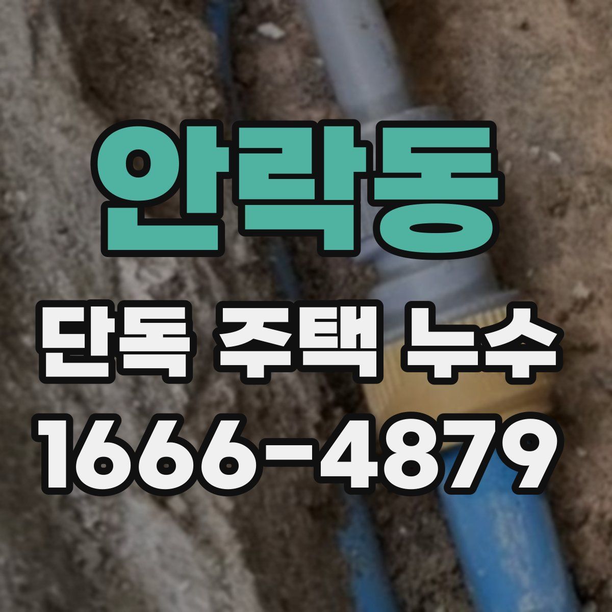 안락동 단독 주택 누수