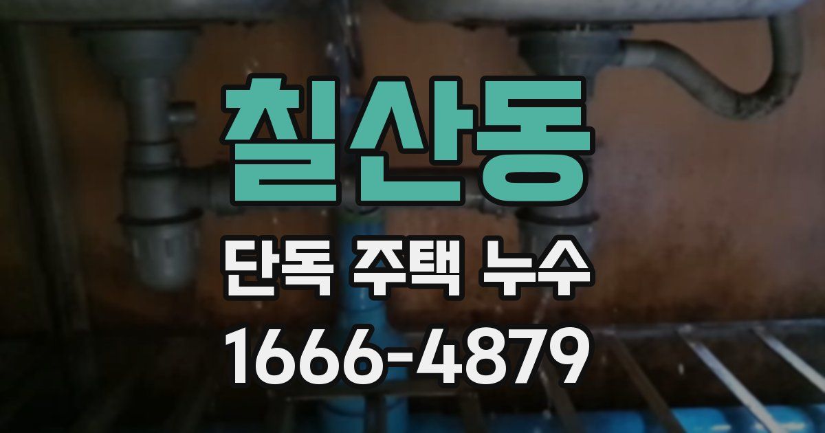 칠산동 단독 주택 누수