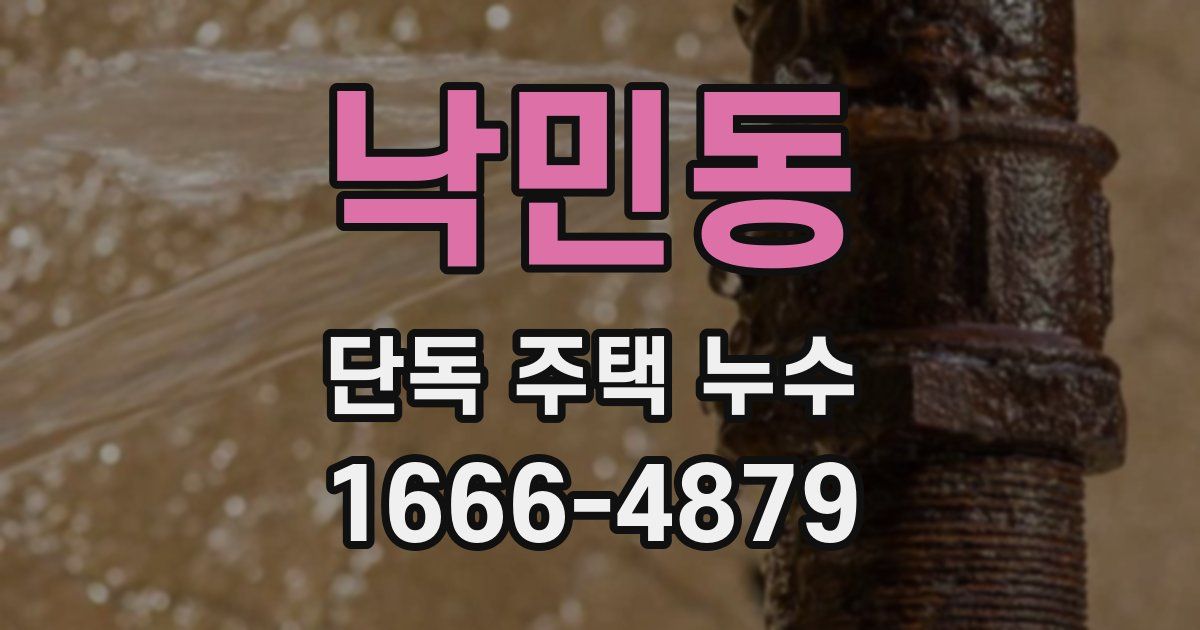낙민동 단독 주택 누수