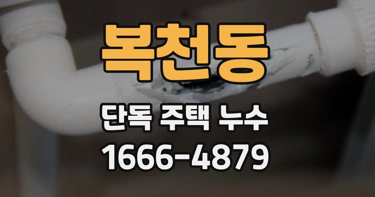 복천동 단독 주택 누수