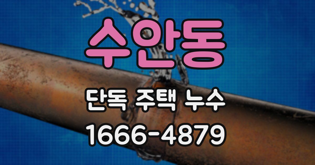수안동 단독 주택 누수