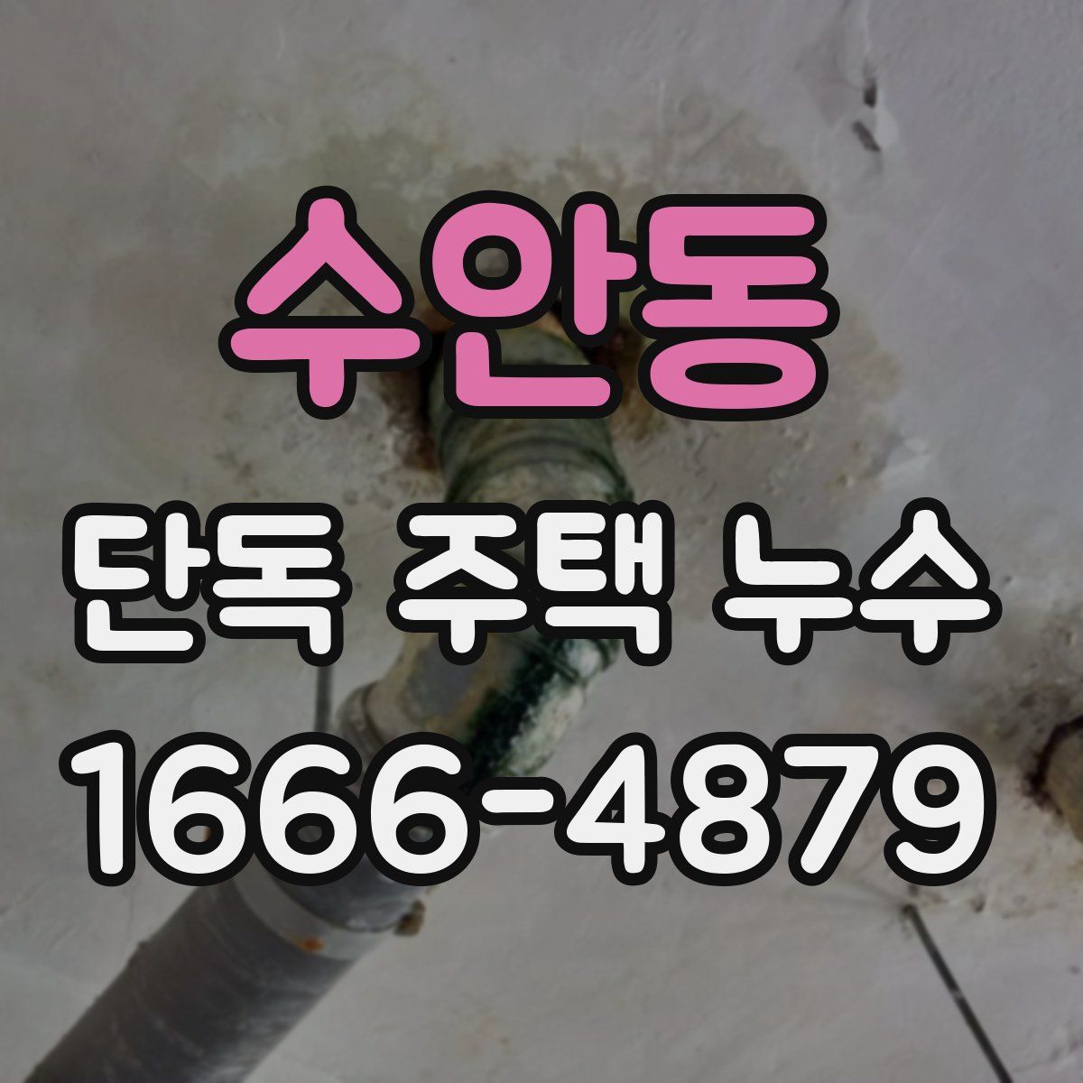 수안동 단독 주택 누수