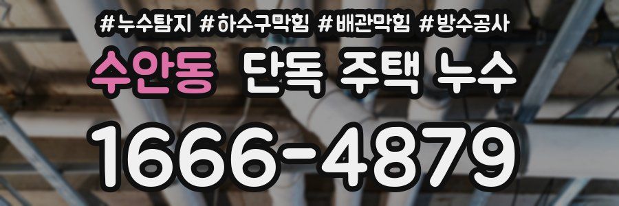 수안동 단독 주택 누수