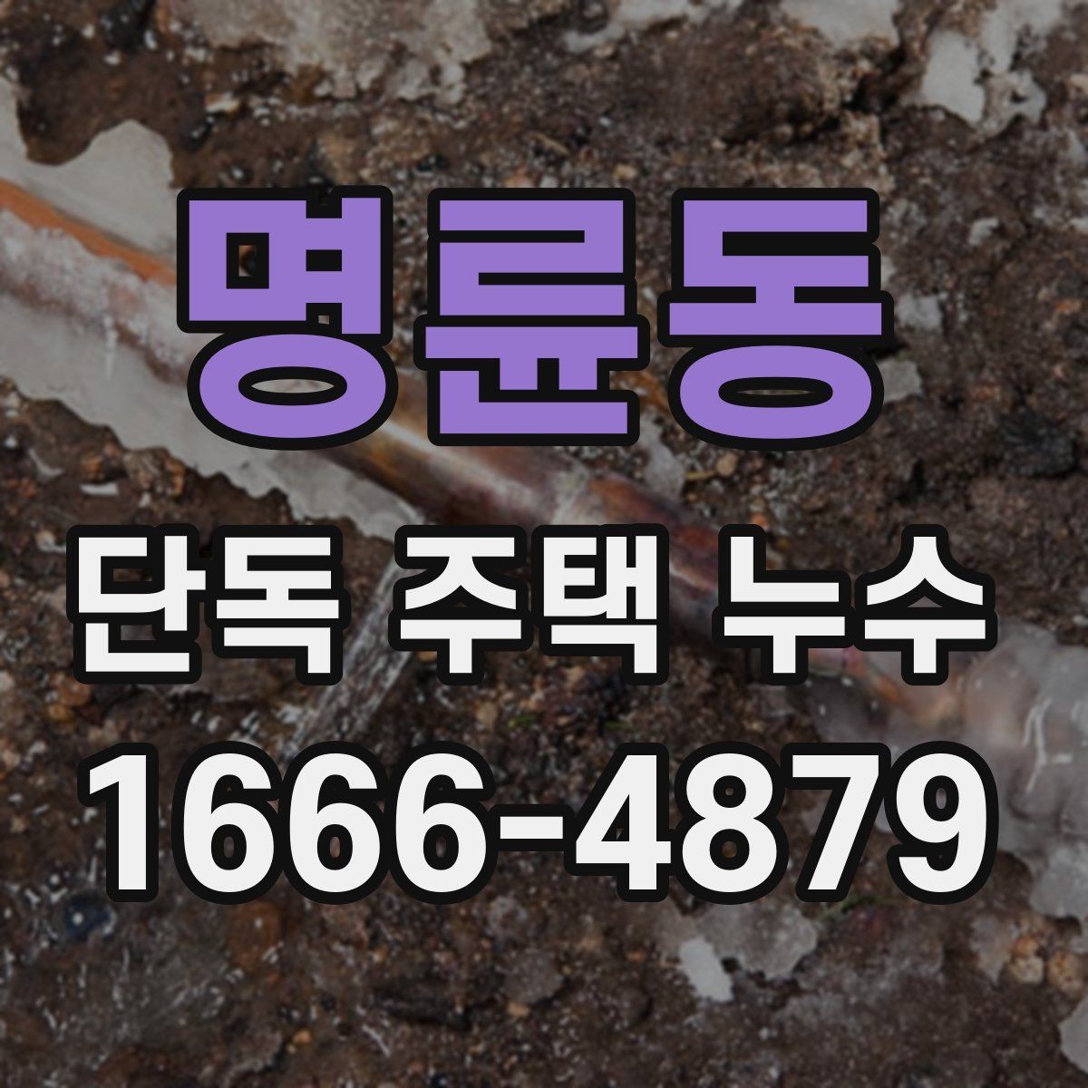 명륜동 단독 주택 누수 벽지 들뜸이 보일 때 점검 대상