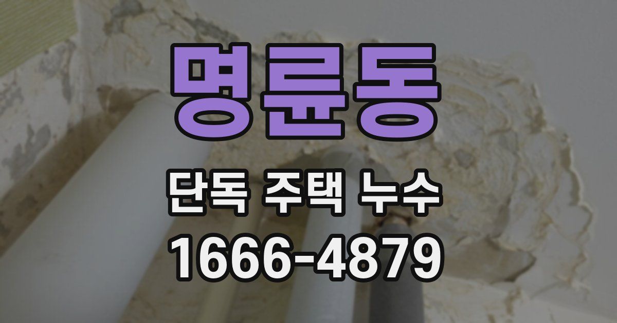 명륜동 단독 주택 누수
