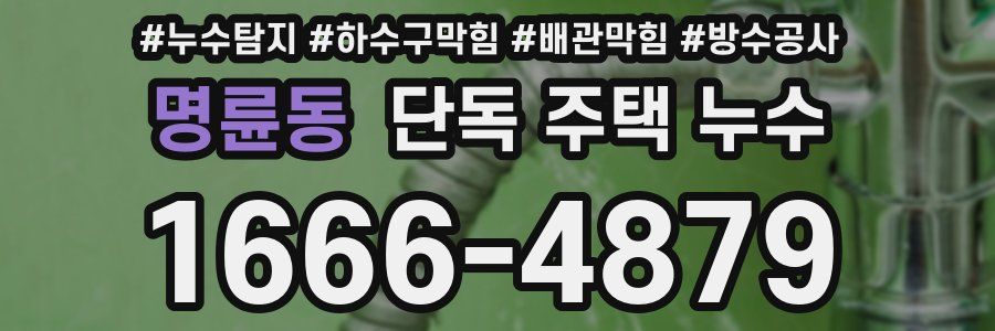 명륜동 단독 주택 누수