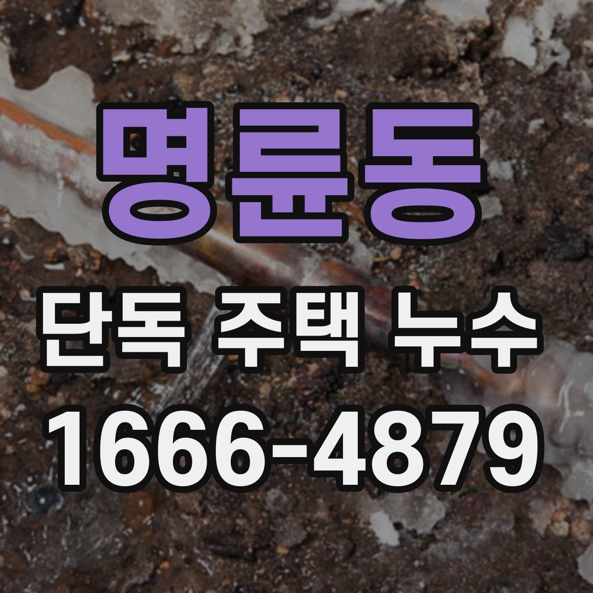 명륜동 단독 주택 누수