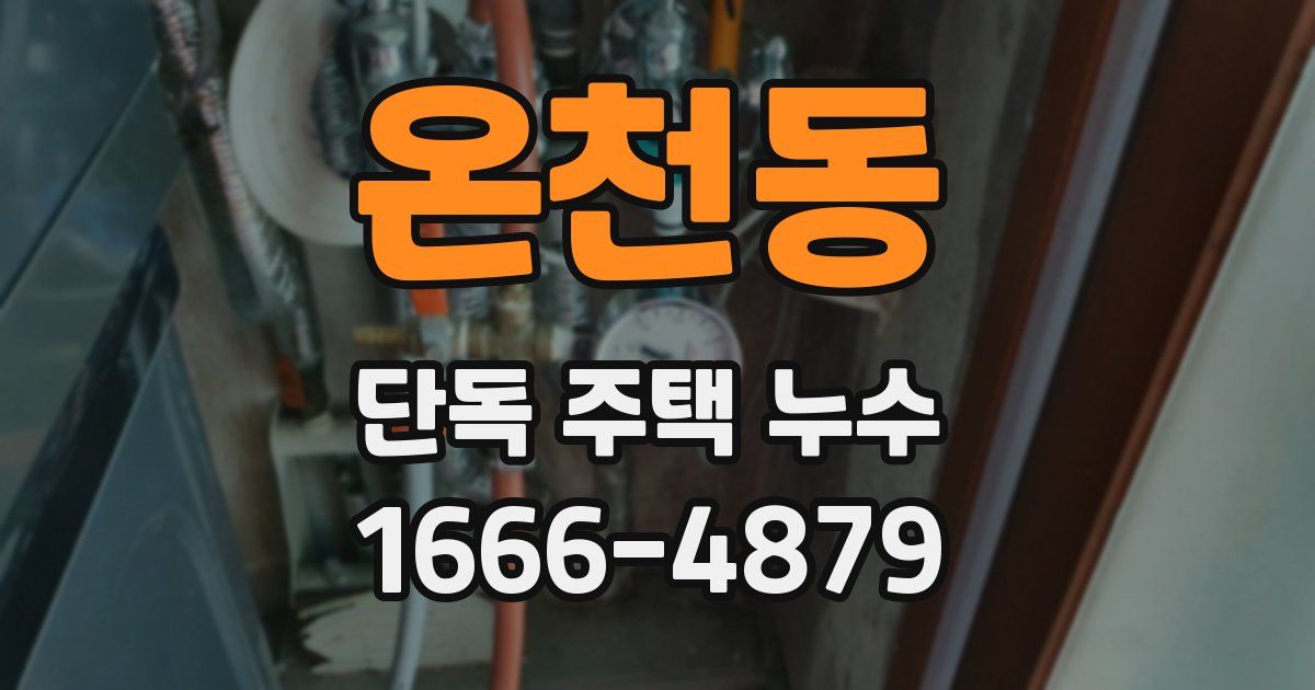 온천동 단독 주택 누수