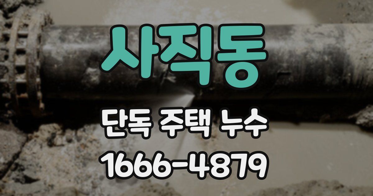 사직동 단독 주택 누수