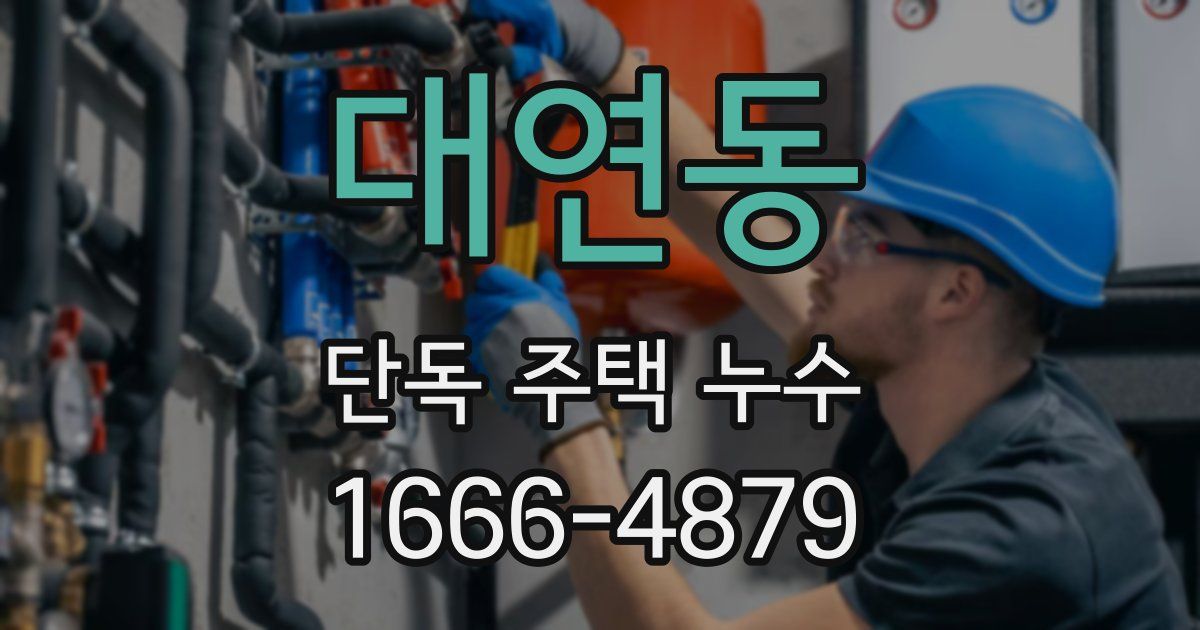 대연동 단독 주택 누수