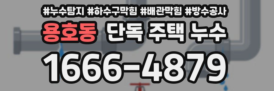 용호동 단독 주택 누수