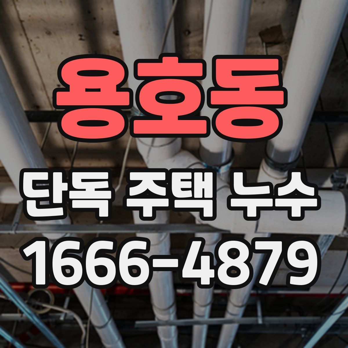 용호동 단독 주택 누수