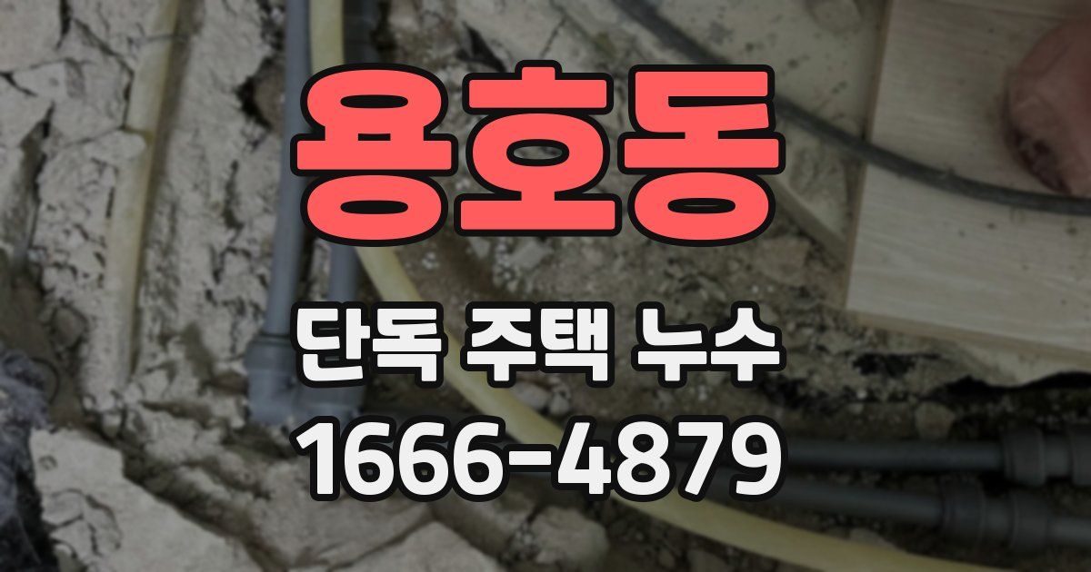 용호동 단독 주택 누수