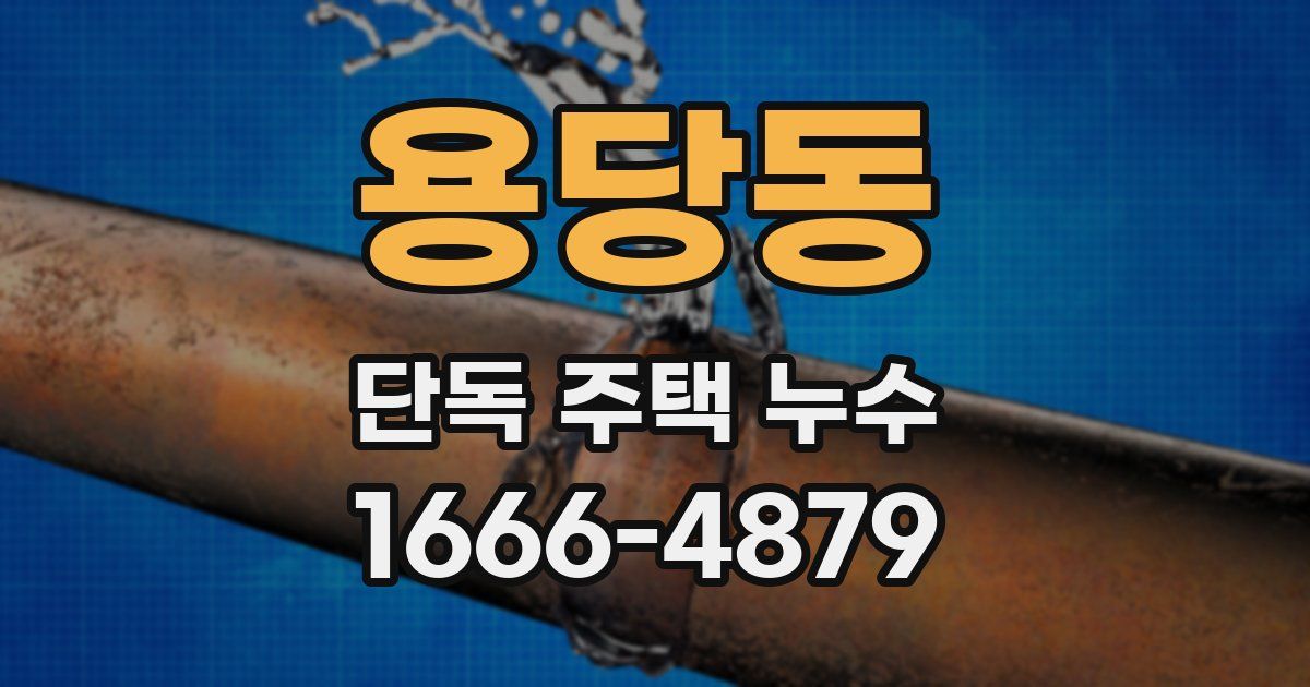 용당동 단독 주택 누수