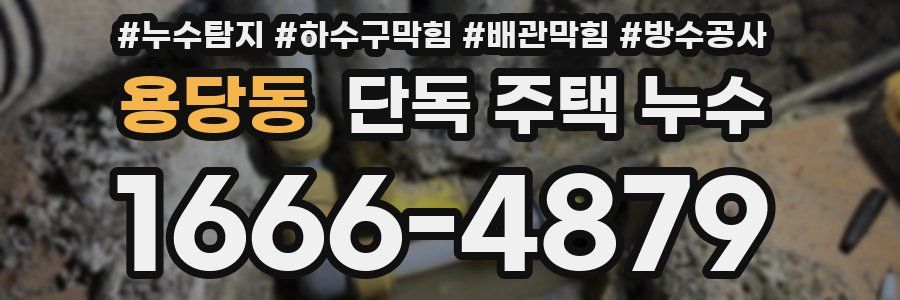 용당동 단독 주택 누수