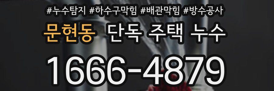 문현동 단독 주택 누수