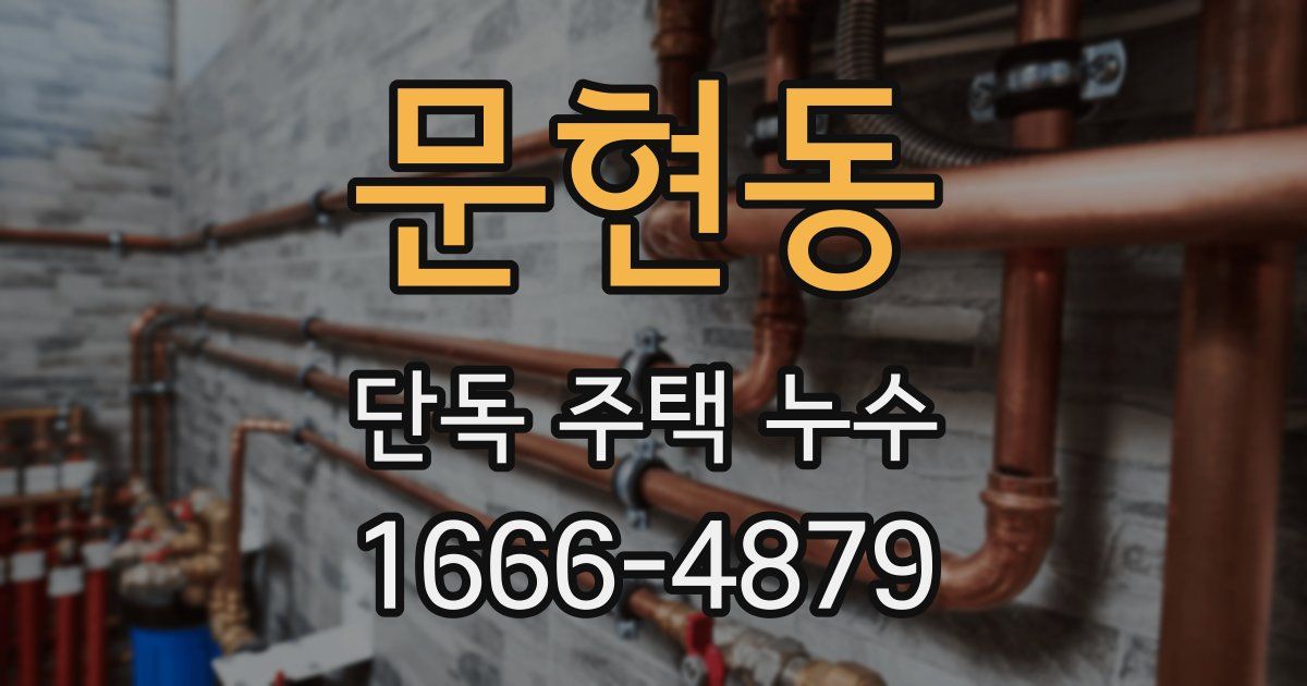 문현동 단독 주택 누수
