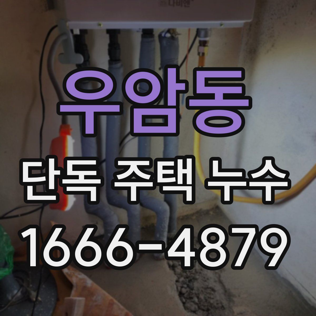 우암동 단독 주택 누수