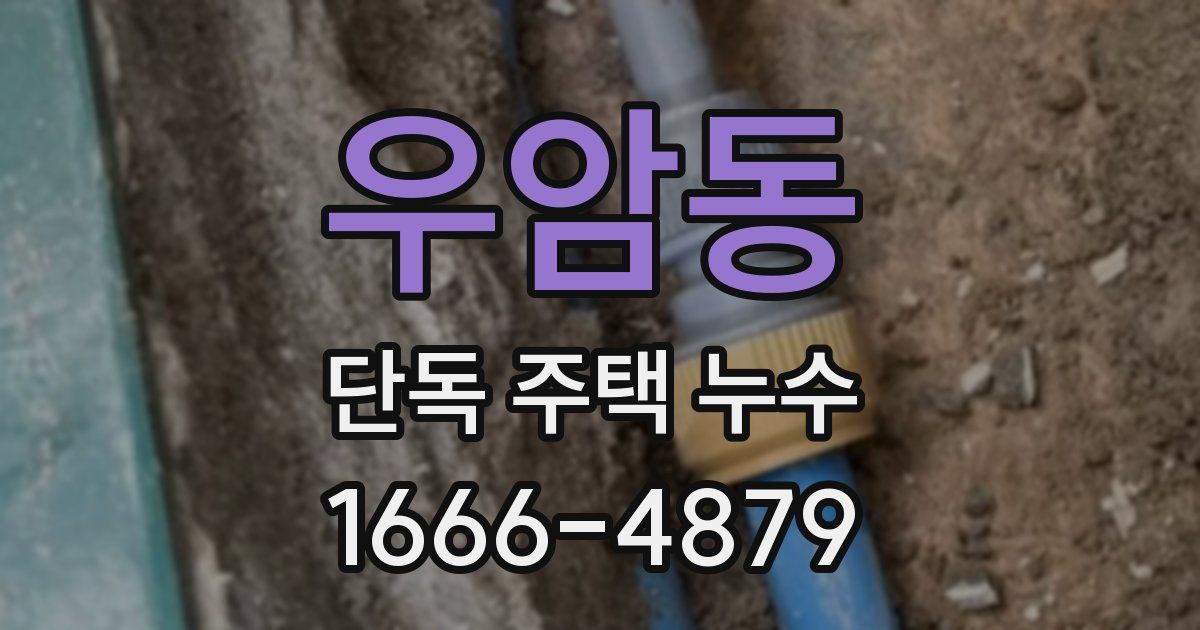 우암동 단독 주택 누수