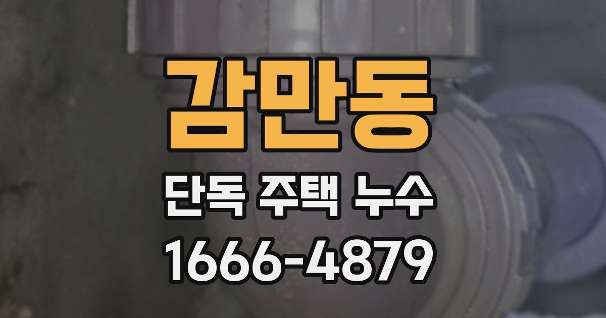 감만동 단독 주택 누수