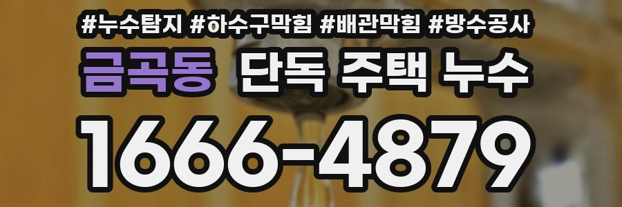금곡동 단독 주택 누수