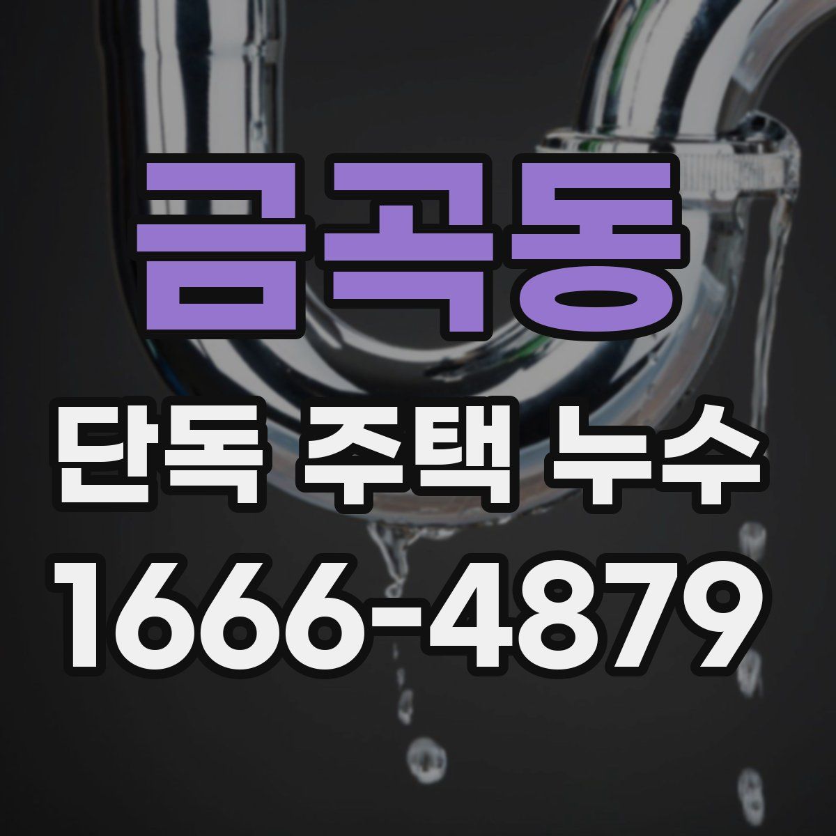 금곡동 단독 주택 누수
