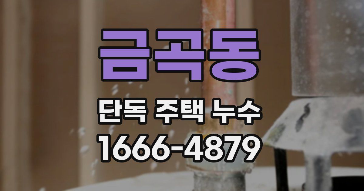 금곡동 단독 주택 누수