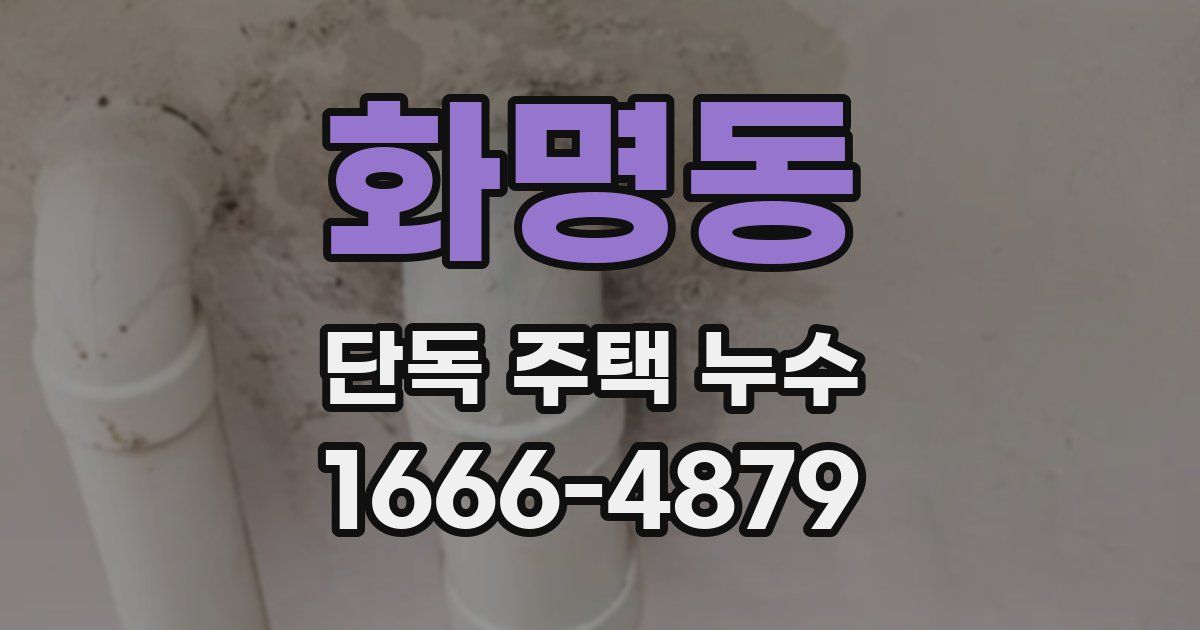 화명동 단독 주택 누수