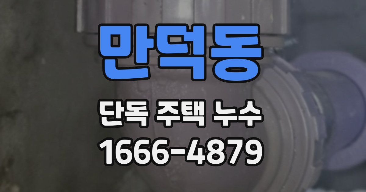만덕동 단독 주택 누수