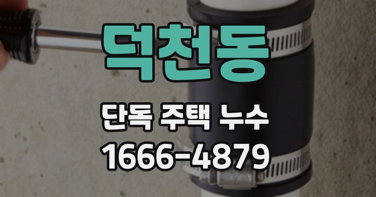 덕천동 단독 주택 누수