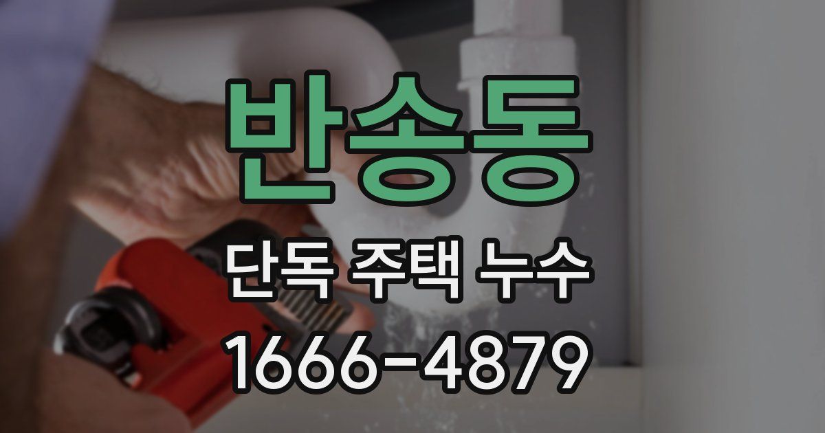 반송동 단독 주택 누수