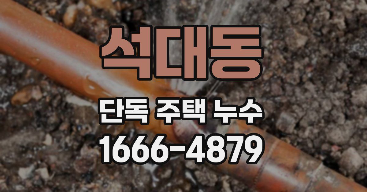 석대동 단독 주택 누수