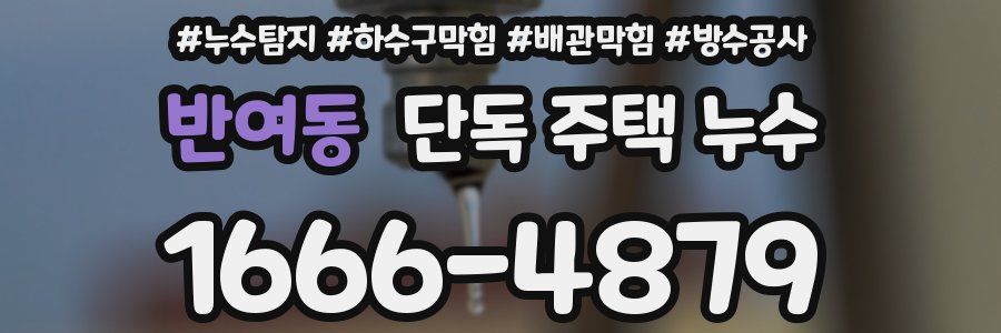 반여동 단독 주택 누수