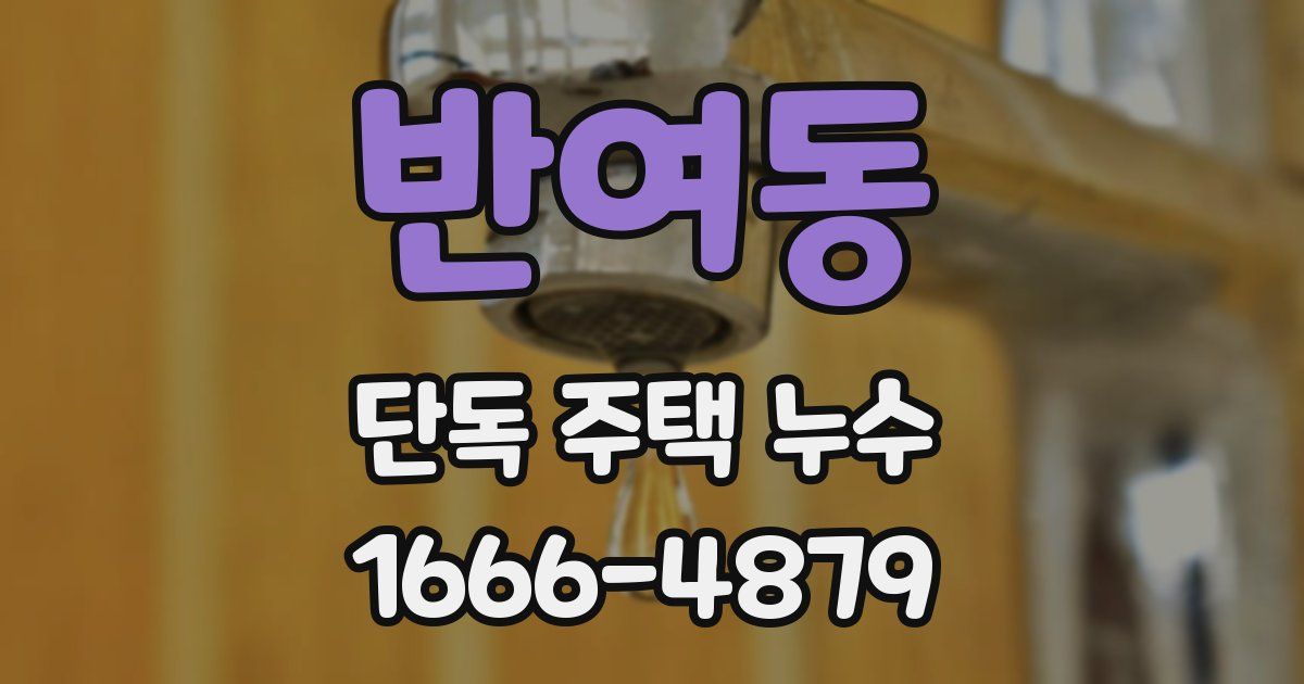 반여동 단독 주택 누수