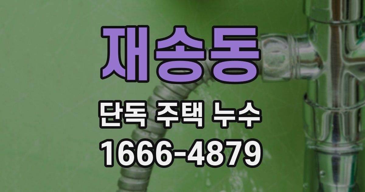 재송동 단독 주택 누수