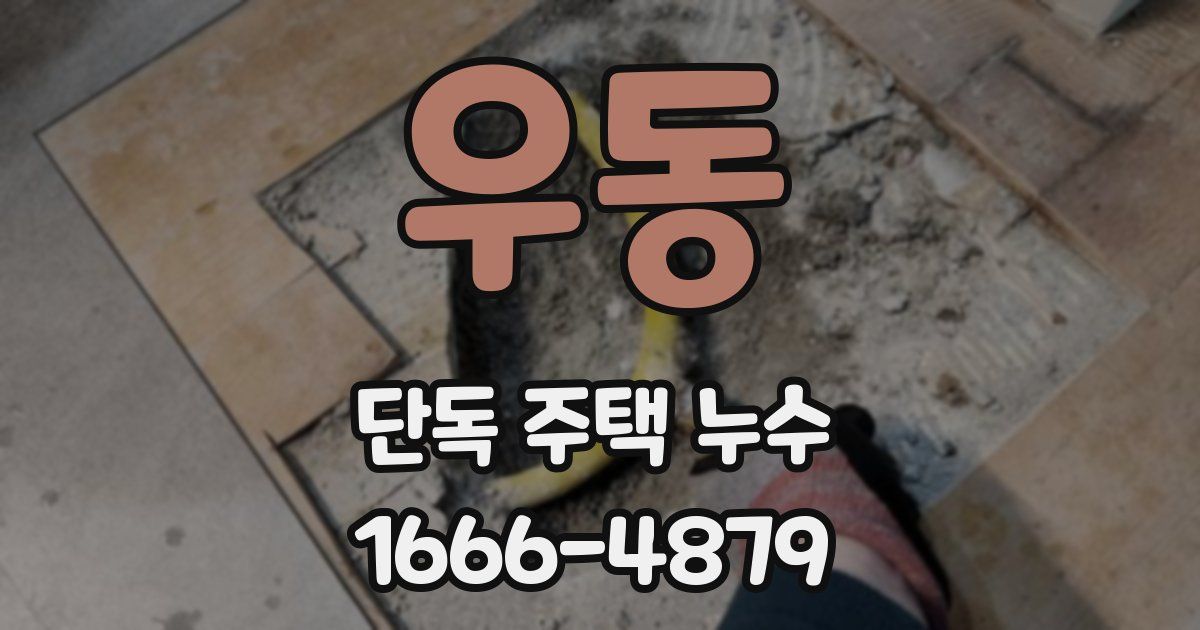 우동 단독 주택 누수