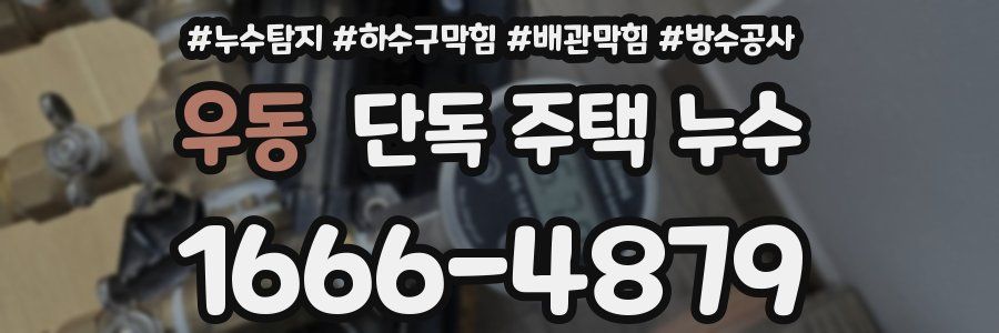 우동 단독 주택 누수