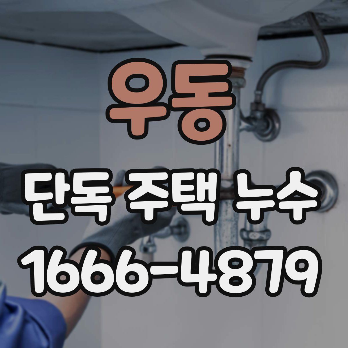 우동 단독 주택 누수