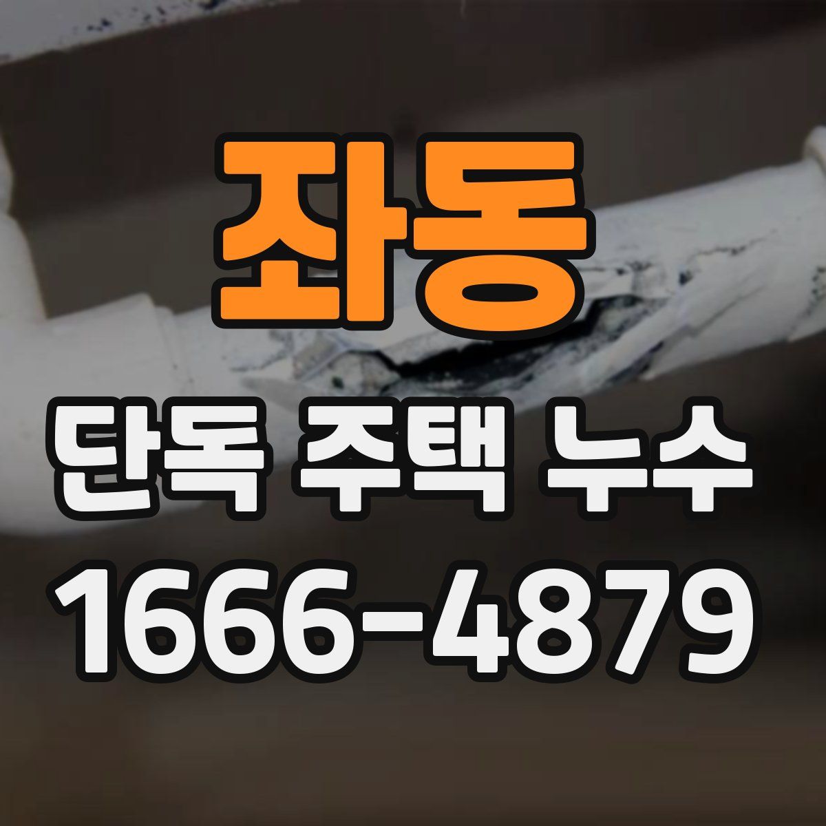 좌동 단독 주택 누수