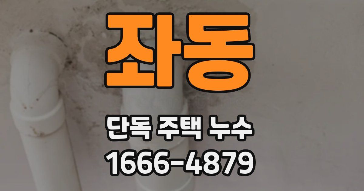 좌동 단독 주택 누수