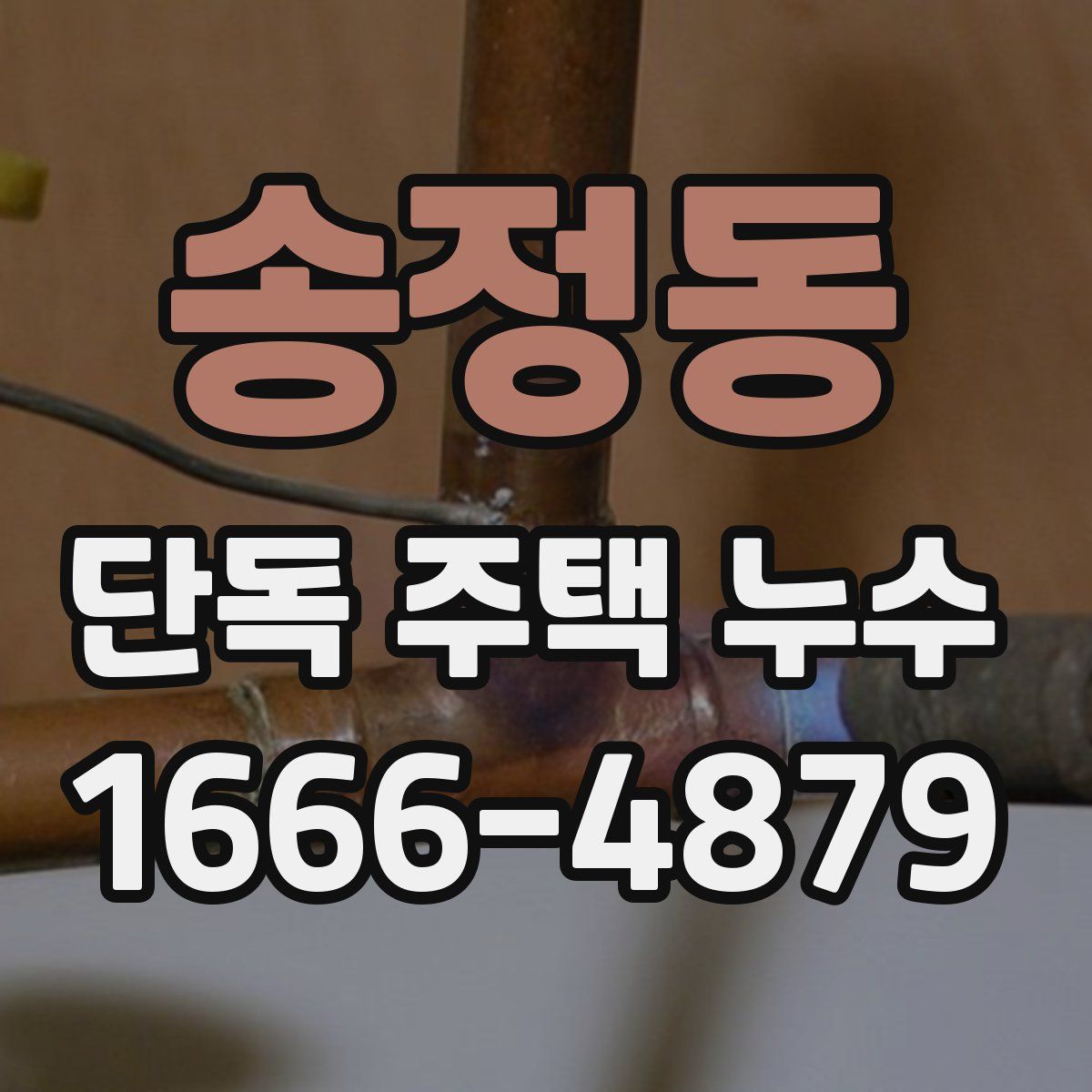 송정동 단독 주택 누수